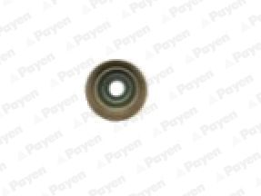 Уплотнительное кольцо, стержень клапана PAYEN PA6095 для ROVER 75