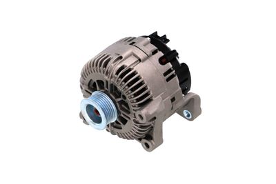GENERATOR / ALTERNATOR REMANTE 011003000789R 65