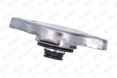 BUSON RADIATOR BIRTH 8069 8