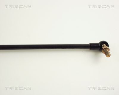 AMORTIZOR PORTBAGAJ KAWE 871050203 2