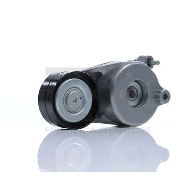 INTINZATOR CUREA CUREA DISTRIBUTIE FA1 NW1405903 33