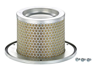 Secondary air filter