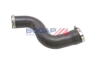 FURTUN EAR SUPRAALIMENTARE BOGAP A1711384 2