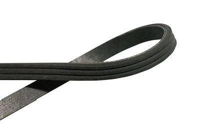 Kavo Parts V formos rumbuoti diržai