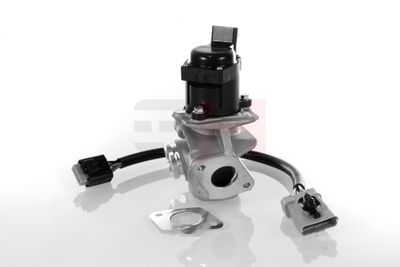 SUPAPA EGR GH GH732566 56