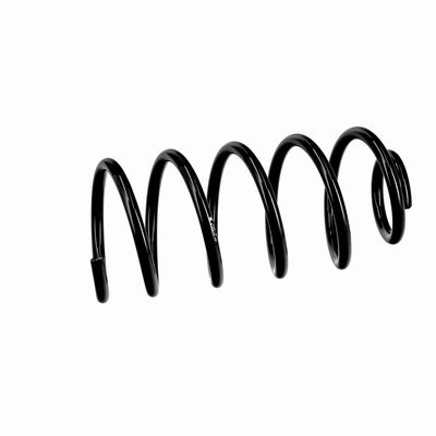 ARC SPIRAL EIBACH R10814 6