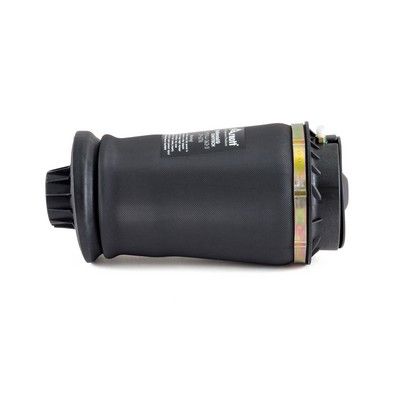 ARC PNEUMATIC DIRECTIE Arnott A2596 4