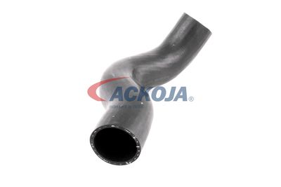 FURTUN EAR SUPRAALIMENTARE ACKOJA A380307 50
