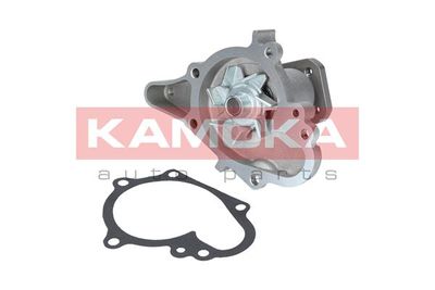 Water Pump, engine cooling T0158