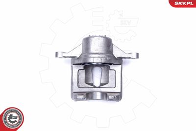 Brake Caliper 42SKV482