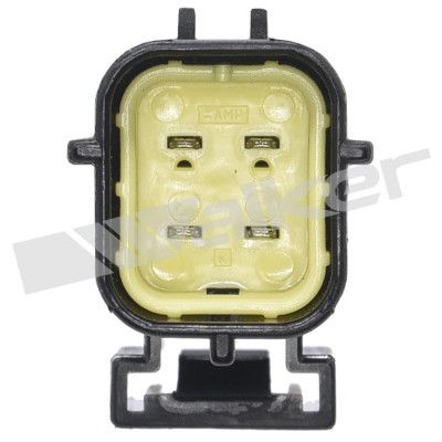 LAMBDASONDE WALKER PRODUCTS 25024804 2