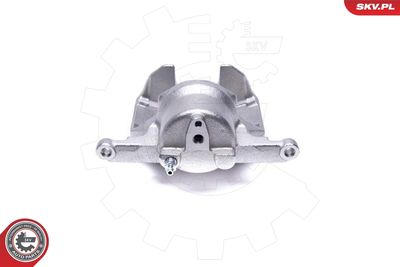 Brake Caliper 46SKV982