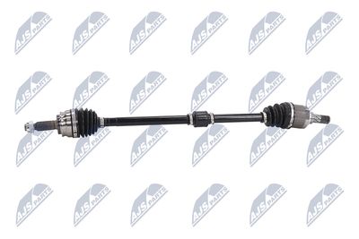 PLANETARA NTY NPWCH062 5