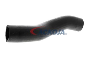 FURTUN EAR SUPRAALIMENTARE ACKOJA A529600 55