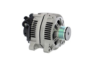 GENERATOR / ALTERNATOR REMANTE 011003000053R 49
