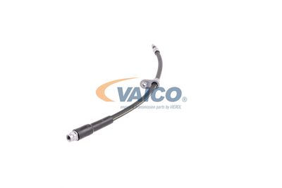 FURTUN FRANA VAICO V420748 16