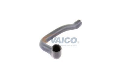 FURTUN RADIATOR VAICO V201749 50