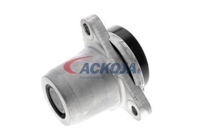 INTINZATOR CUREA CUREA DISTRIBUTIE ACKOJA A520078 31