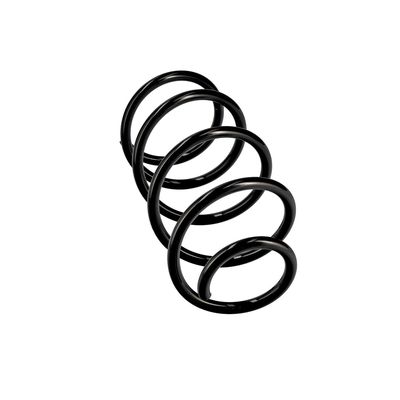 ARC SPIRAL EIBACH R10489 24
