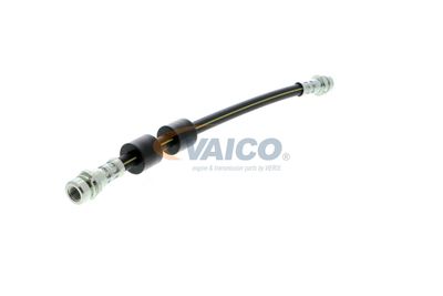 FURTUN FRANA VAICO V251328 52