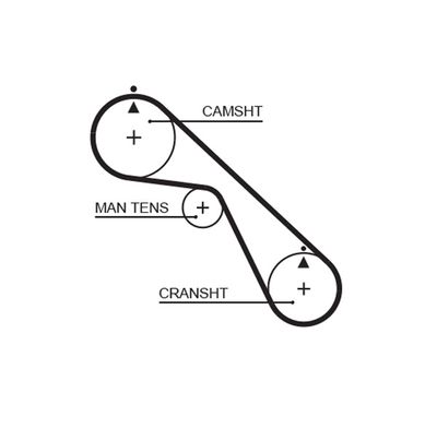 Timing Belt 5530XS