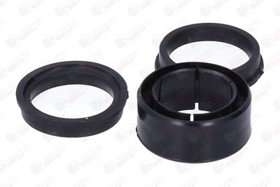 BUCSA ARBORE DE DIRECTIE BIRTH 4321 6