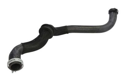 Radiator Hose DWC032TT