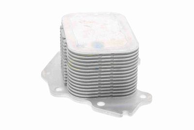 RADIATOR ULEI ULEI MOTOR VEMO V25600026 3