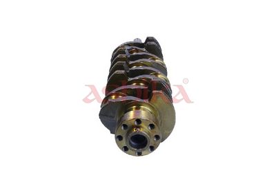 ARBORE COTIT ASHIKA 18TY003 2