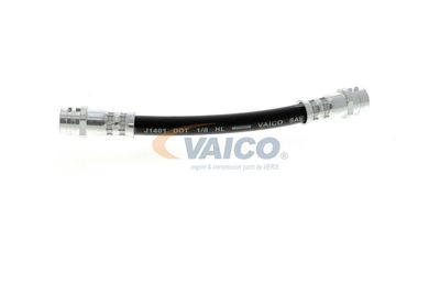 FURTUN FRANA VAICO V104114 24