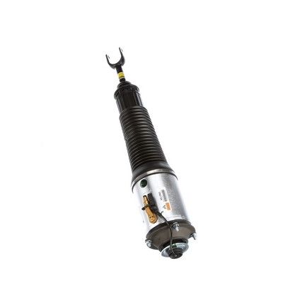 LUFTFEDERBEIN Arnott AS2560 57