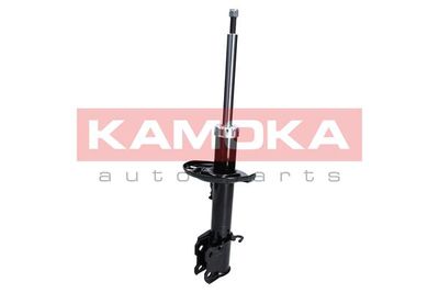 Shock Absorber 2000242