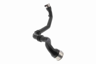FURTUN EAR SUPRAALIMENTARE ACKOJA A380815 5