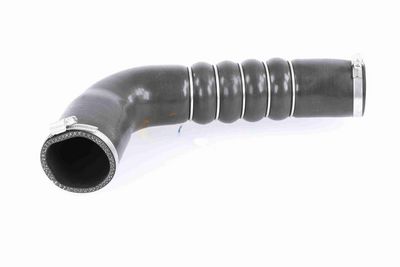 FURTUN EAR SUPRAALIMENTARE VAICO V103794 1