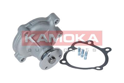 Water Pump, engine cooling T0072