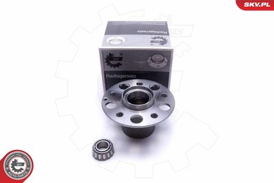 Wheel Bearing Kit 29SKV423