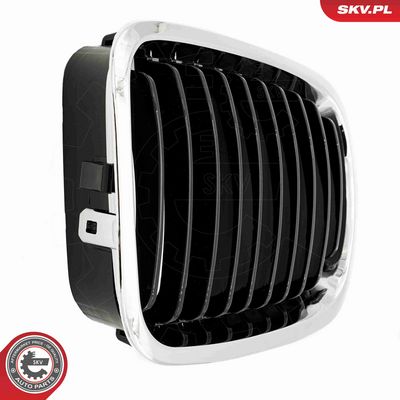 GRILA RADIATOR ESEN SKV 66SKV064 8
