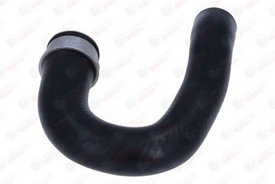 FURTUN EAR SUPRAALIMENTARE BIRTH 55838 6