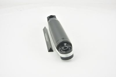 AMORTIZOR FEBEST 17655543R 13