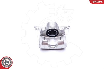 Brake Caliper 42SKV241