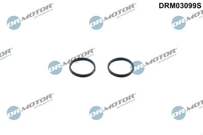 Zestaw uszczelek, pompa oleju DR.MOTOR AUTOMOTIVE DRM03099S