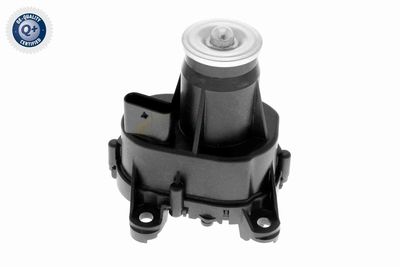 STELLELEMENT DRALLKLAPPEN (SAUGROHR) VEMO V20770304 2