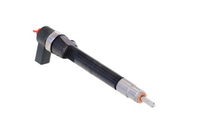 INJECTOR REMANTE 002003001108R 48
