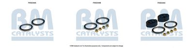 Монтажен комплект, катализатор BM Catalysts FK92344
