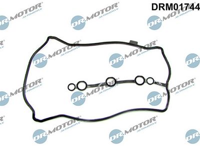 Těsnění, kryt hlavy válce LIZARTE DRM01744