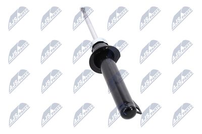 AMORTIZOR NTY AAR011 15