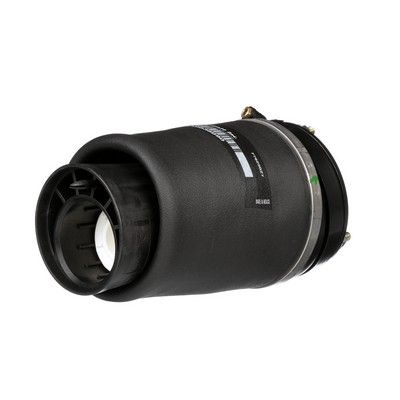 LUFTFEDER FAHRWERK Arnott A2934 13