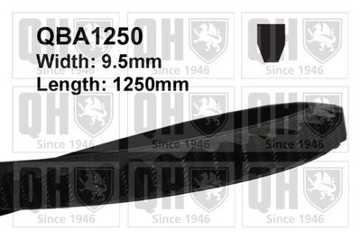 QUINTON HAZELL QBA1250 Клиновой ремень  для ALFA ROMEO GT (Альфа-ромео Гт)