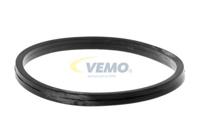 GARNITURA TERMOSTAT VEMO V30999005 18