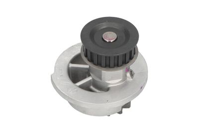 Kavo Parts Vandens siurblys, variklio aušinimas